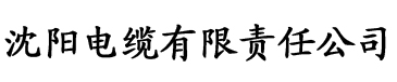 2019直播聚合App盒子电缆厂logo